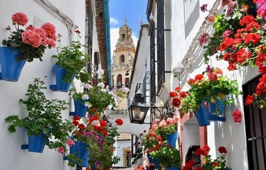 Апартаменти El Patio De Cruz Conde Кордова Екстер'єр фото